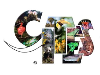 CITES Logo