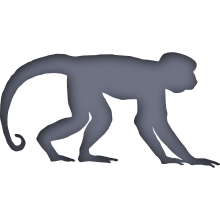 Piktogramm des Sammelnamens Affen