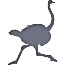 Piktogramm des Sammelnamens Laufvögel