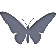 Piktogramm des Sammelnamens Schmetterlinge, Vogelflügler