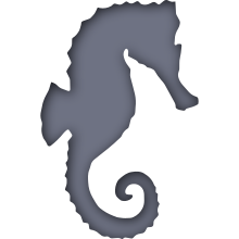 Piktogramm des Sammelnamens Seepferdchen
