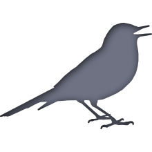 Piktogramm des Sammelnamens Singvögel
